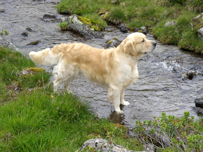 "hmm, schönes klares Wasser! "